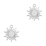 Bedels van Stainless steel Roestvrij staal (RVS) zon Silver