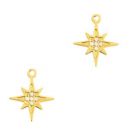 Bedels van Stainless steel Roestvrij staal (RVS) star Gold