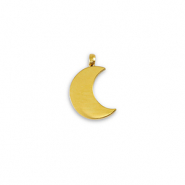Bedels van Stainless steel Roestvrij staal (RVS) La Luna moon Gold