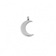 Bedels van Stainless steel Roestvrij staal (RVS) La Luna moon Silver