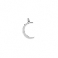 Bedels van Stainless steel Roestvrij staal (RVS) La Luna moon Silver