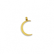 Bedels van Stainless steel Roestvrij staal (RVS) La Luna moon Gold