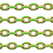 Benodigdheden van Stainless steel Roestvrij staal (RVS) jasseron ankerketting Gold-green