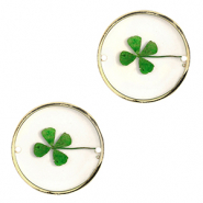 Gedroogde bloemetjes tussenstukken 20mm Gold-green