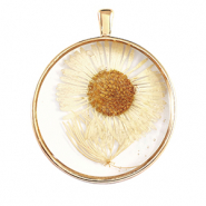 Gedroogde bloemetjes bedels Gold-beige