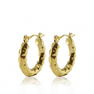 Oorbellen van Stainless steel Roestvrij staal (RVS) creolen 20mm Gold