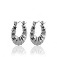 Oorbellen van Stainless steel Roestvrij staal (RVS) creolen 20mm Silver