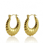 Oorbellen van Stainless steel Roestvrij staal (RVS) creolen 22mm Gold