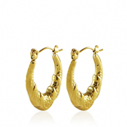 Oorbellen van Stainless steel Roestvrij staal (RVS) creolen oval Gold