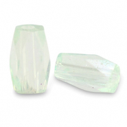 Top quality facet kralen tube Soft mint green