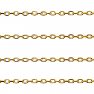 Benodigdheden van Stainless steel Roestvrij staal (RVS) jasseron ankerketting Gold