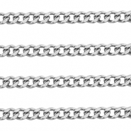 Benodigdheden van Stainless steel Roestvrij staal (RVS) jasseron gourmet Silver