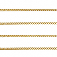 Benodigdheden van Stainless steel Roestvrij staal (RVS) jasseron gourmet Gold