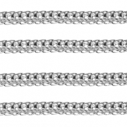 Benodigdheden van Stainless steel Roestvrij staal (RVS) jasseron Silver