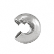 Benodigdheden van Stainless steel Roestvrij staal (RVS) knijpkraal verbergers 5mm Silver
