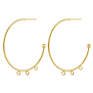 Oorbellen van Stainless steel Roestvrij staal (RVS) oorstekers creolen Gold