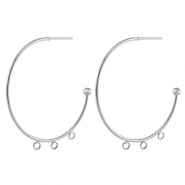 Oorbellen van Stainless steel Roestvrij staal (RVS) oorstekers creolen Silver