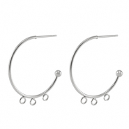 Oorbellen van Stainless steel Roestvrij staal (RVS) oorstekers creolen Silver