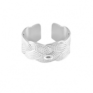 Ringen van Stainless steel Roestvrij staal (RVS)  met oogje Zilver