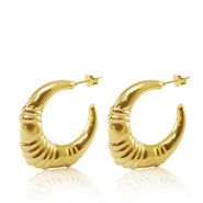 Oorbellen / oorstekers van Stainless steel Roestvrij staal (RVS) creolen oval Goud