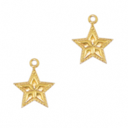 Bedels van Stainless steel Roestvrij staal (RVS) star Goud