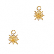 Bedels van Stainless steel Roestvrij staal (RVS) star Goud