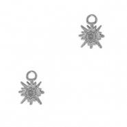 Bedels van Stainless steel Roestvrij staal (RVS) star Antiek zilver