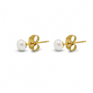 Oorbellen / oorstekers van Stainless steel Roestvrij staal (RVS) pearls 5mm Gold-pearl white