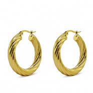Roestvrij stalen (RVS) Stainless steel oorbellen creolen Gold