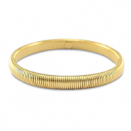 Armbanden van Stainless Steel Roestvrij staal (RVS) Gold