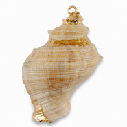 Schelp hanger special Beige-gold