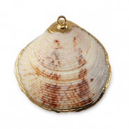 Schelp hanger special Scallop Mixed brown-gold