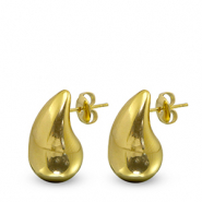 Oorbellen / oorstekers van Stainless steel Roestvrij staal (RVS) drop Gold