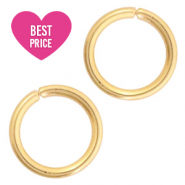 Benodigdheden van Stainless steel Roestvrij staal (RVS) buigring 6mm Goud