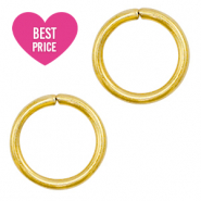 Benodigdheden van Stainless steel Roestvrij staal (RVS) buigring 8mm Goud