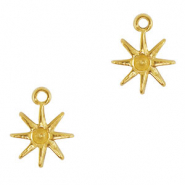 Bedels van Stainless steel Roestvrij staal (RVS) star Gold