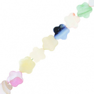 Schelp kralen flower Multicolour pastel