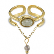 Ringen van Stainless steel Roestvrij staal (RVS) met natuursteen Gold-greenish grey