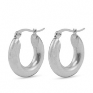 Oorbellen van Stainless steel Roestvrij staal (RVS) creolen 20mm Silver