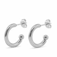 Oorbellen van Stainless steel Roestvrij staal (RVS) oorstekers Silver
