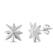 Oorbellen / oorstekers van Stainless steel Roestvrij staal (RVS) star Silver