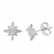 Oorbellen / oorstekers van Stainless steel Roestvrij staal (RVS) star Silver
