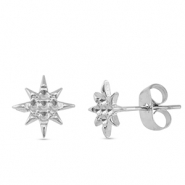 Oorbellen / oorstekers van Stainless steel Roestvrij staal (RVS) star Silver