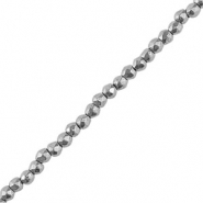 Kralen van hematite rond 2mm facet geslepen Silver