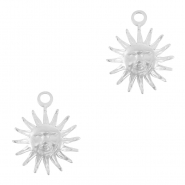 Bedels van Stainless steel Roestvrij staal (RVS) sun Silver