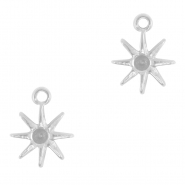Bedels van Stainless steel Roestvrij staal (RVS) star Silver
