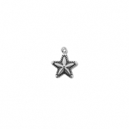 Bedels van Stainless steel Roestvrij staal (RVS) star Silver