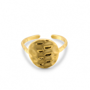 Ringen van Stainless steel Roestvrij staal (RVS) Gold
