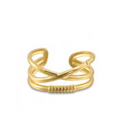 Ringen van Stainless steel Roestvrij staal (RVS) Gold
