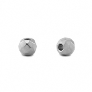 Kralen van Stainless steel Roestvrij staal  6mm (RVS) Silver